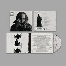 Load image into Gallery viewer, Thundercat - Distracted